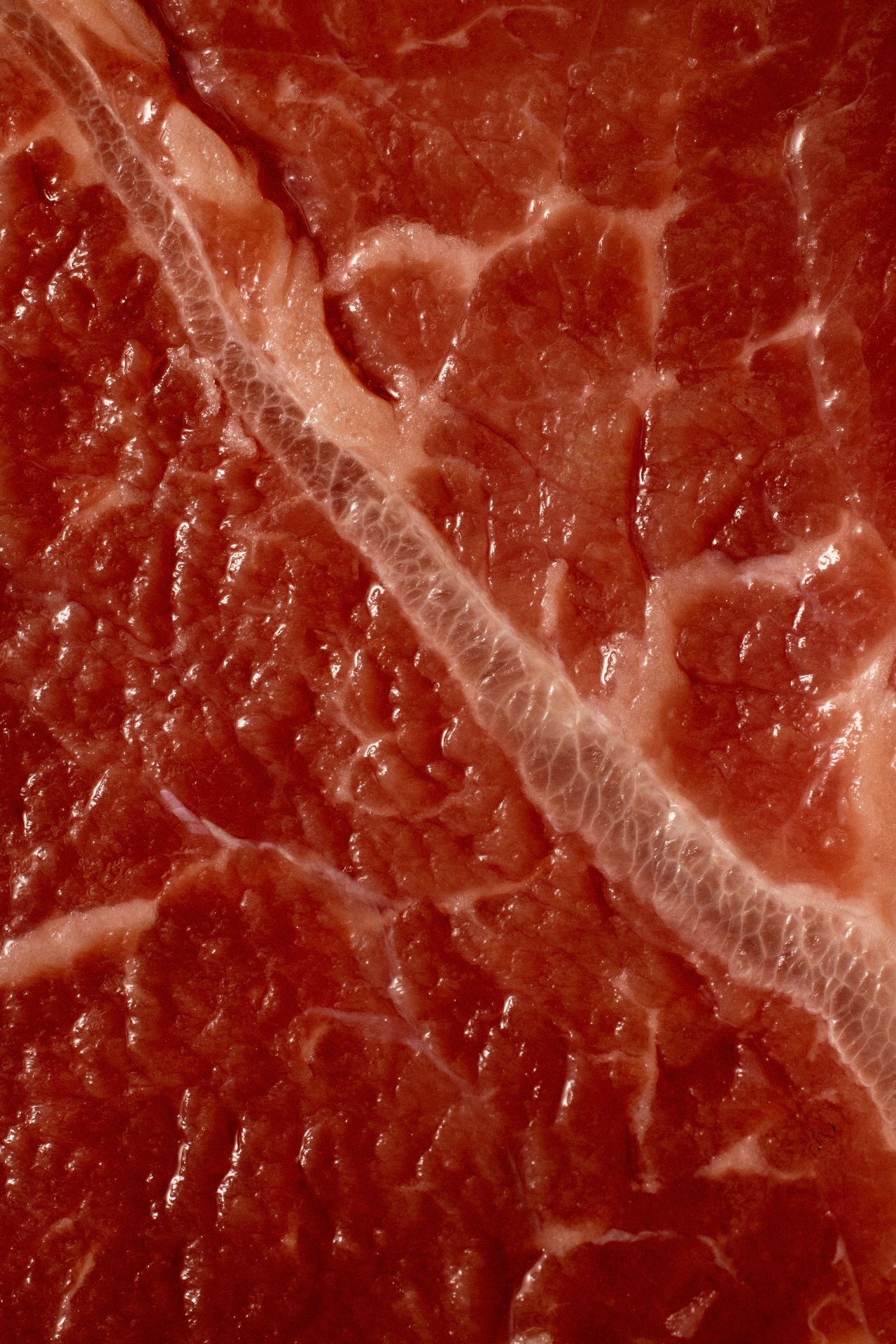 Close-up of raw red muscle tissue with a pale, spine-like band of connective tissue running diagonally across it