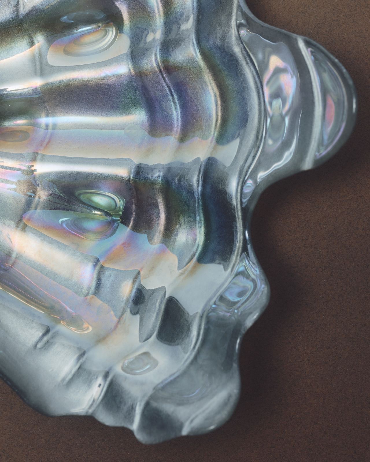 An iridescent glass shell on a dark surface
